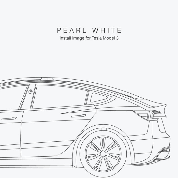 Modufy Door Defender for Tesla Model 3/Y