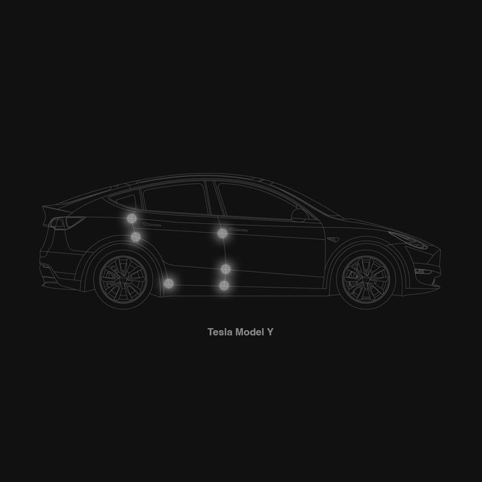 Modufy Door Defender for Tesla Model 3/Y