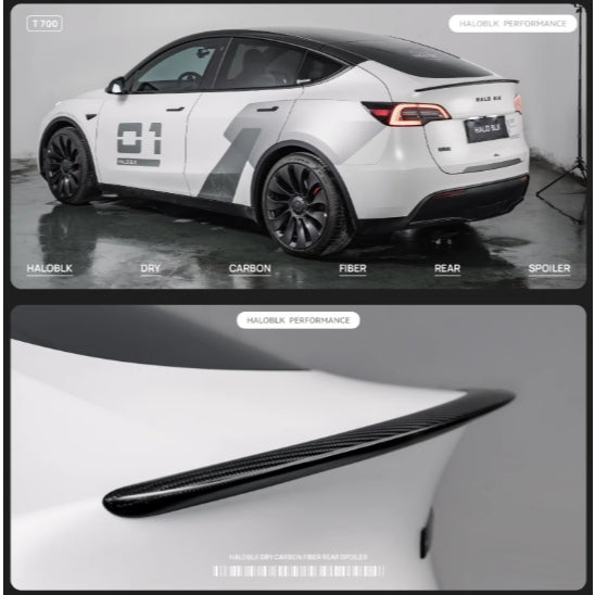 HALOBLK 黑洛 Model 3/Y/煥新版3/煥新版Y 真碳纖維尾翼 - 啞黑